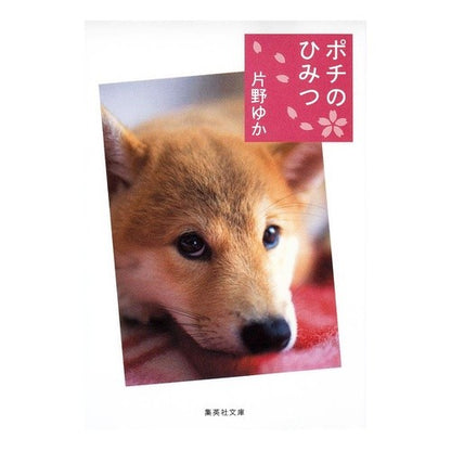 ポチのひみつ