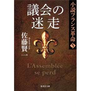 議会の迷走　小説フランス革命　　　５ Kenichi Sato