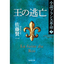 画像をギャラリービューアに読み込む, 王の逃亡　小説フランス革命　　　７ Kenichi Sato
