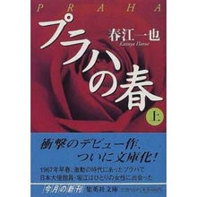 画像をギャラリービューアに読み込む, プラハの春　上
