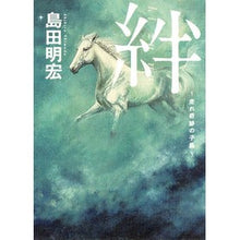画像をギャラリービューアに読み込む, 絆～走れ奇跡の子馬～
