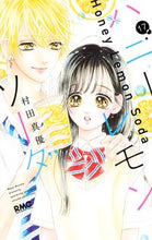 画像をギャラリービューアに読み込む, ハニーレモンソーダ　　１７ 村田　真優　著 ﾑﾗﾀﾏﾕ --- :9784088676289
