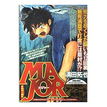 Load image into Gallery viewer, ＭＡＪＯＲ　乾坤一擲
