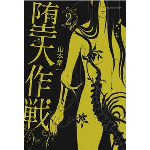 堕天作戦　　　２