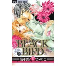 画像をギャラリービューアに読み込む, ＃桜小路　かのこ　著 ＃ＢＬＡＣＫ　ＢＩＲＤ　　１６ ｻｸﾗｺｳｼﾞｶﾉｺ 小学館 BLACK BIRD (16) (Betsucomiフラワーコミックス) : Written by Kanoko Sakurakoji BLACK BIRD 16 :9784091344991
