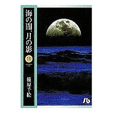 画像をギャラリービューアに読み込む, ＃篠原　千絵 ＃海の闇、月の影　　１１ ｼﾉﾊﾗﾁｴ 小学館 海の闇、月の影 (11) (小学館文庫 しA 22) : Chie Shinohara Darkness of the sea, shadow of the moon 11 :9784091912206
