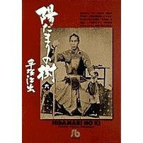 画像をギャラリービューアに読み込む, ＃手塚　治虫 ＃陽だまりの樹　　　６ ﾃｽﾞｶｵｻﾑ 小学館 陽だまりの樹〔小学館文庫〕 (6) (小学館文庫 てA 16) : Osamu Tezuka Sunny tree 6 :9784091920560
