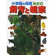 小学館の図鑑ＮＥＯ　　１５　飼育と観察
