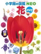 #小学館 #花ＤＶＤつき# 9784092172197 :9784092172197
