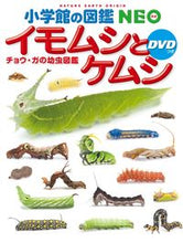 Load image into Gallery viewer, イモムシとケムシ　ＤＶＤつき　チョウ・ガ 小学館 小学館 :9784092172234

