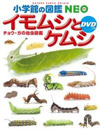 イモムシとケムシ　ＤＶＤつき　チョウ・ガ 小学館 小学館 :9784092172234