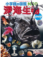 深海生物 小学館 小学館 :9784092172265