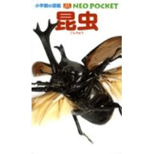 画像をギャラリービューアに読み込む, 昆虫
