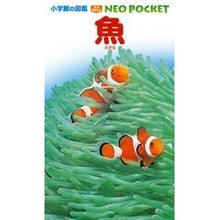 画像をギャラリービューアに読み込む, 魚
