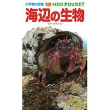 画像をギャラリービューアに読み込む, 海辺の生物
