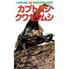 画像をギャラリービューアに読み込む, ＃小池　啓一　著 ＃カブトムシ・クワガタムシ ｺｲｹｹｲｲﾁ :9784092172906
