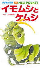 Load image into Gallery viewer, イモムシとケムシ　チョウ・ガの幼虫図鑑 小学館 小学館 :9784092172913
