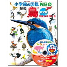 画像をギャラリービューアに読み込む, 鳥　新版　ＤＶＤつき　恐竜の子孫たち
