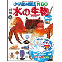 画像をギャラリービューアに読み込む, 水の生物　新版　ＤＶＤつき
