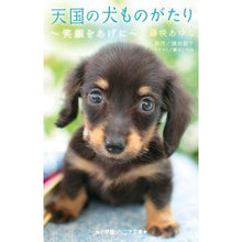 画像をギャラリービューアに読み込む, 天国の犬ものがたり～笑顔をあげに～
