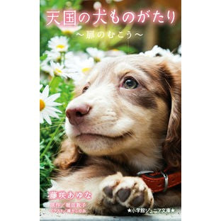 天国の犬ものがたり～扉のむこう～ The story of a dog in heaven ~Beyond door~