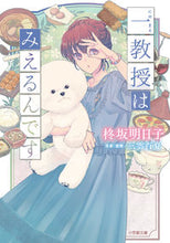 Load image into Gallery viewer, #AkikoHiiragisaka #AProfessorCanSee
