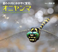画像をギャラリービューアに読み込む, #筒井学 #夏の小川にかがやく宝石、オニヤンマ :9784097252191
