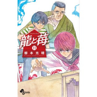 ＃柳本光晴 ＃龍と苺　１１ ﾔﾅﾓﾄﾐﾂﾊﾙ 小学館 龍と苺 (11) (少年サンデーコミックス) : Mitsuharu Yanagimoto Dragon and Strawberry 11 :9784098517695