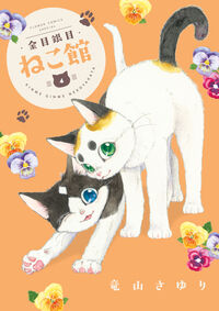 #竜山さゆり #金目銀目ねこ館４