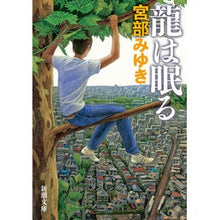 画像をギャラリービューアに読み込む, 龍は眠る
