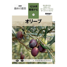 画像をギャラリービューアに読み込む, オリーブ
