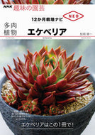 多肉植物　エケベリア 松岡　修一　著 ﾏﾂｵｶｼﾕｳｲﾁ NHK出版 :9784140402955
