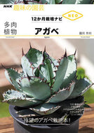 多肉植物　アガベ ツル岡　秀明　著 ﾂﾙｵｶﾋﾃﾞｱｷ NHK出版 :9784140402962
