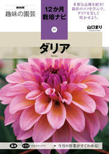 画像をギャラリービューアに読み込む, ダリア 山口まり　著 ﾔﾏｸﾞﾁﾏﾘ NHK出版 :9784140403044
