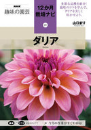 ダリア 山口まり　著 ﾔﾏｸﾞﾁﾏﾘ NHK出版 :9784140403044