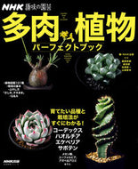 #NHKPublishing #SucculentPerfectBook