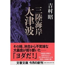 画像をギャラリービューアに読み込む, 三陸海岸大津波
