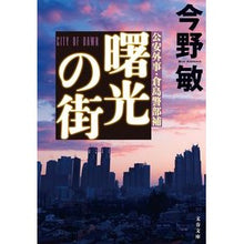 画像をギャラリービューアに読み込む, 曙光の街

