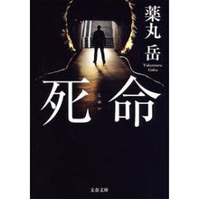 画像をギャラリービューアに読み込む, 死命
