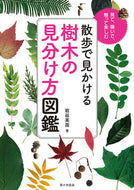 #岩谷美苗 #散歩で見かける樹木の見分け方図鑑