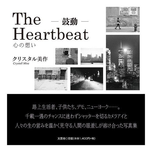 Ｔｈｅ　Ｈｅａｒｔｂｅａｔ－鼓動－