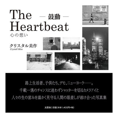 Ｔｈｅ　Ｈｅａｒｔｂｅａｔ－鼓動－