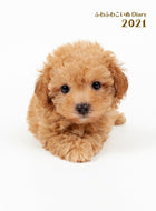 Diary 2021 Impress January 2021 Start 2-Week Planner (Horizontal) A6 Fluffy Puppy Diary 2021 Cute Fashionable Character Planner Cover Schedule Book Diary Timekeeper: 9784295003984