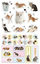 Load image into Gallery viewer, Schedule Book January 2022 Start Impress December 2021 Start Planner 2-Week Horizontal A6 Fluffy Cats Diary Cute Stylish Character Planner Cover Diary Size Timekeeper for Planners: 9784295003977

