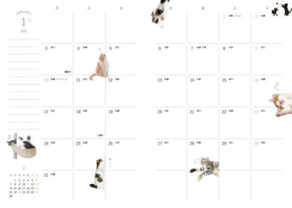 Scheduler 2022 January Start Impress 2021 November Start Planner Monthly (Monthly Block) B6 Paw Pad Kitty Planner 2022 Cute & Stylish Character Planner Cover Diary Size Planner Timekeeper :9784295006510