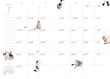 Load image into Gallery viewer, Scheduler 2022 January Start Impress 2021 November Start Planner Monthly (Monthly Block) B6 Paw Pad Kitty Planner 2022 Cute &amp; Stylish Character Planner Cover Diary Size Planner Timekeeper :9784295006510
