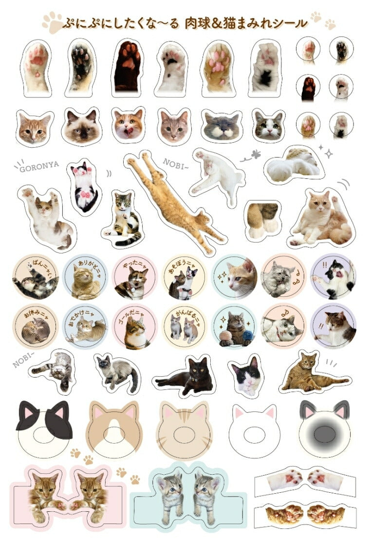Scheduler 2022 January Start Impress 2021 November Start Planner Monthly (Monthly Block) B6 Paw Pad Kitty Planner 2022 Cute & Stylish Character Planner Cover Diary Size Planner Timekeeper :9784295006510