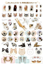 Load image into Gallery viewer, Scheduler 2022 January Start Impress 2021 November Start Planner Monthly (Monthly Block) B6 Paw Pad Kitty Planner 2022 Cute &amp; Stylish Character Planner Cover Diary Size Planner Timekeeper :9784295006510
