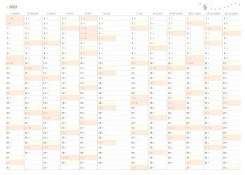 Scheduler 2022 January Start Impress 2021 November Start Planner Monthly (Monthly Block) B6 Paw Pad Kitty Planner 2022 Cute & Stylish Character Planner Cover Diary Size Planner Timekeeper :9784295006510