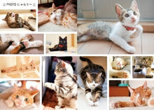 Load image into Gallery viewer, Scheduler 2022 January Start Impress 2021 November Start Planner Monthly (Monthly Block) B6 Paw Pad Kitty Planner 2022 Cute &amp; Stylish Character Planner Cover Diary Size Planner Timekeeper :9784295006510
